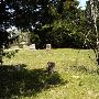 Wright's Cemetery