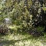 Wright's Cemetery