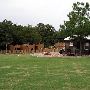 Tatanka Ranch