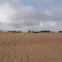 Little Sahara State Park