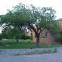 Ft. Sill Indian School