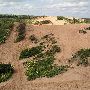 Beaver Dunes Park