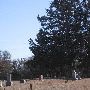 Piper Cemetery