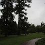 Gilcrease Museum