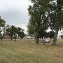 Fort Reno