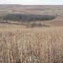 Hughes Ranch