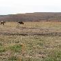 Hughes Ranch