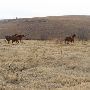 Hughes Ranch