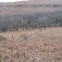 Hughes Ranch