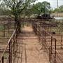 Okmulgee Live Stock Yard