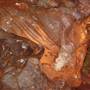Alabaster Caverns State Park