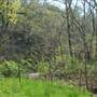 Sterner Ranch