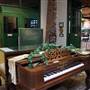 Three Valley Museum