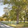 Benson Park Pecans
