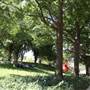 Myriad Botanical Gardens
