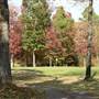 Cedar Creek Golf Course at Beavers Bend
