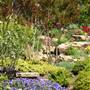 Linnaeus Garden