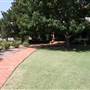 Grandison Inn Bed & Breakfast