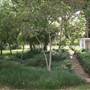 Vernon Home