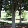 Gaillardia Country Club