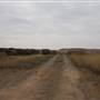 Woodward Intersection N1900 RD & E0390 RD