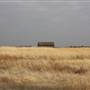 Nightmare in the Country - Kenton Ranch
