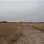 Woodward - Energy Field