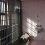Texas County Jail