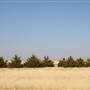Hwy 412/36 - Guymon Area