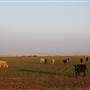 Hwy 412/36 - Guymon Area