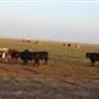 Hwy 412/36 - Guymon Area