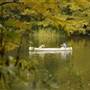 Beavers Bend & Hochatown State Park Lodge