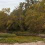 Grand Lake
