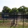 NFL Farms