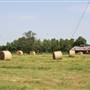 NFL Farms