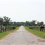 NFL Farms