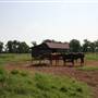 NFL Farms