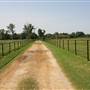 NFL Farms