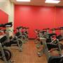 Lighthouse Sports Fitness + Health
