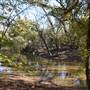 Martin Nature Park