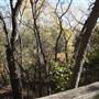 Martin Nature Park