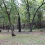 Camp DaKaNi
