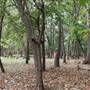 Camp DaKaNi