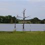 Lake Durant