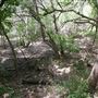 Stinchcomb Wildlife Refuge