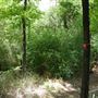 Stinchcomb Wildlife Refuge