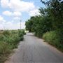 Stinchcomb Wildlife Refuge