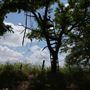 Stinchcomb Wildlife Refuge