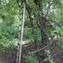 Stinchcomb Wildlife Refuge