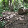 Stinchcomb Wildlife Refuge
